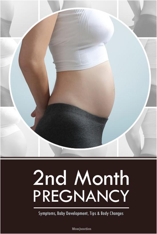 2 Months Pregnant Symptoms Baby Development And Diet Tips