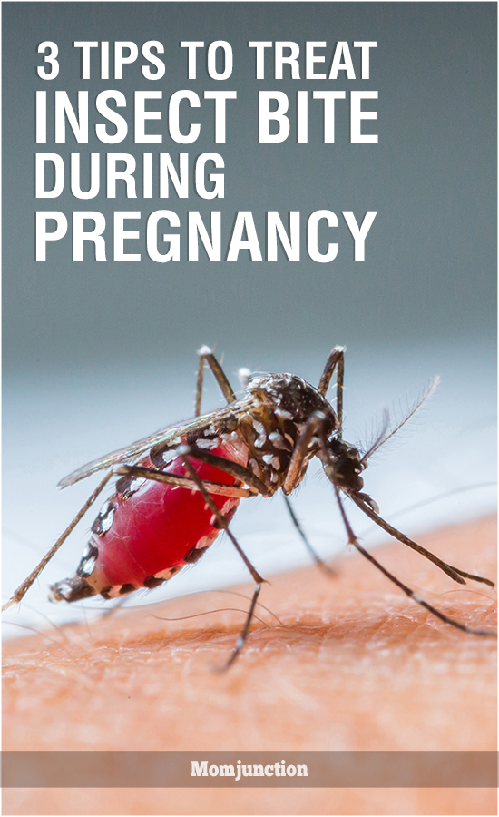 3-effective-tips-to-treat-insect-bite-during-pregnancy