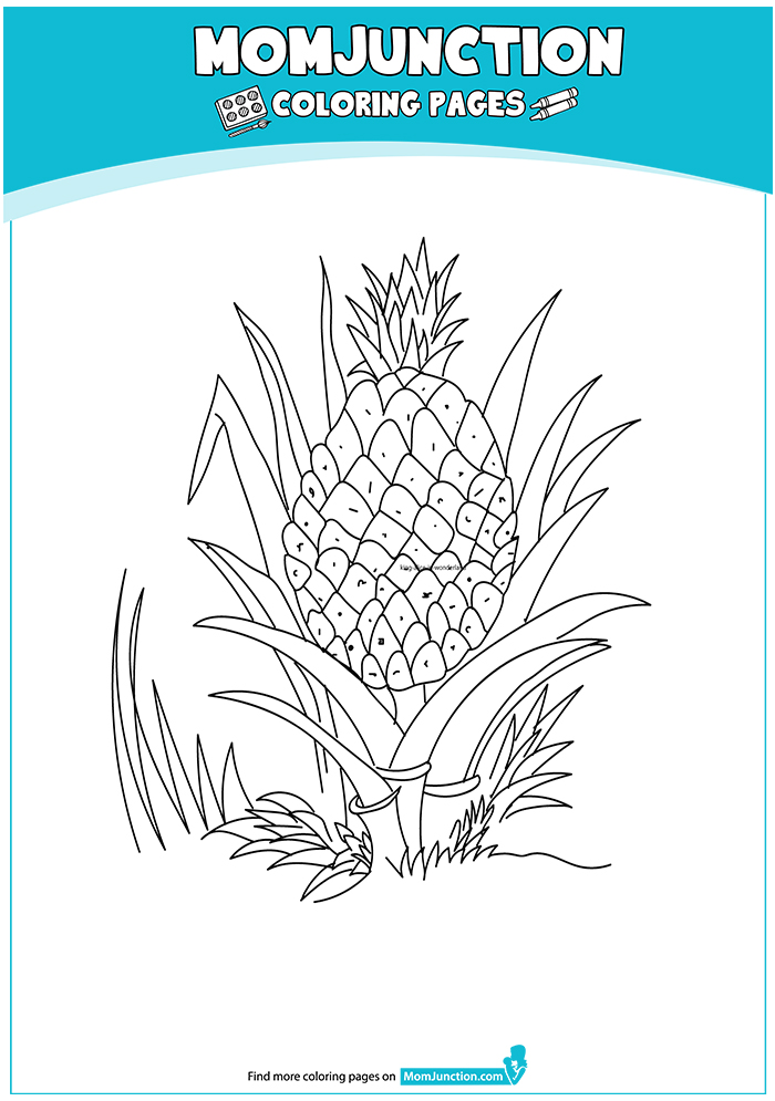 A-Ripe-Pineapple-16