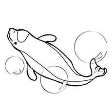 Beluga whale coloring page