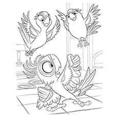 rio jewel coloring pages