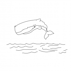 Bowhead whale coloring page