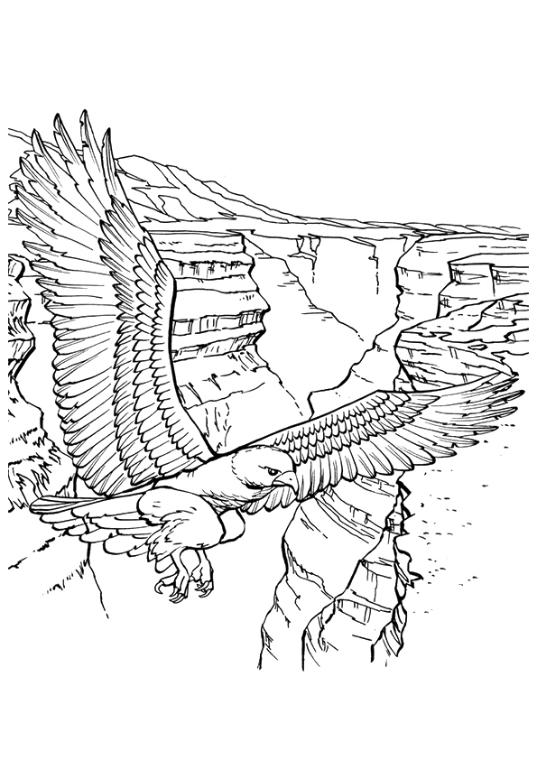 Crowned-Eagle