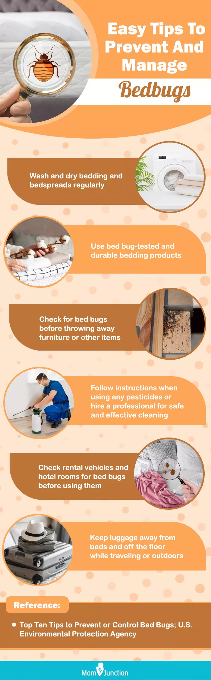 easy tips to prevent and manage bedbugs (infographic)