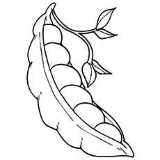 Garden peas coloring page