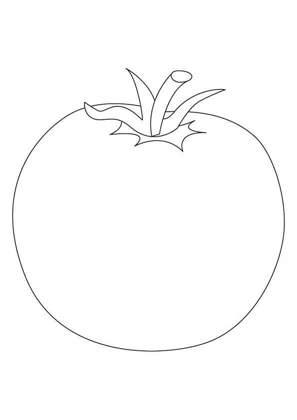 Globe-Tomato