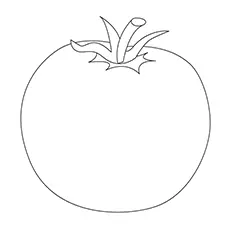 Globe tomato coloring page