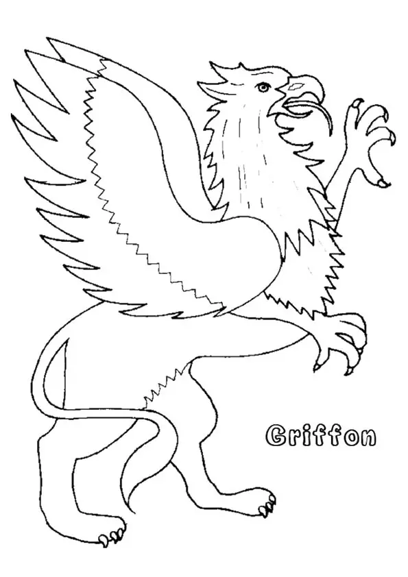 Griffon