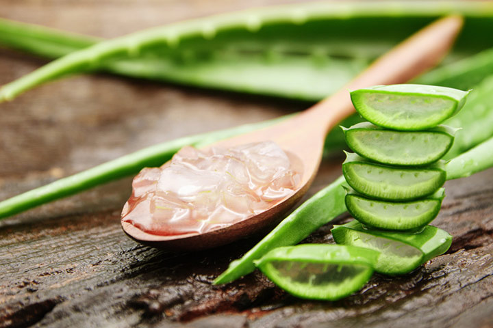Aloe vera gel has been traditionally used for haircare