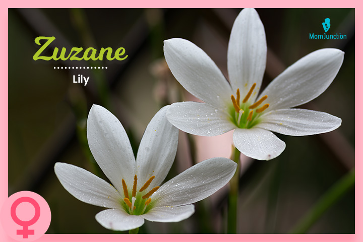 It is a delicate name for your little bloomer.