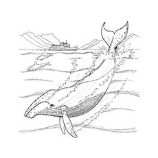 Long-finned pilot whale coloring page