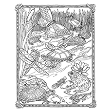 Mossy Image, Jan Brett coloring page