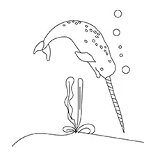 Narwhal whale coloring page