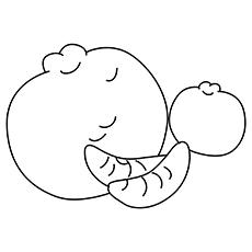 Navel orange coloring page