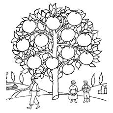 Orange tree coloring page