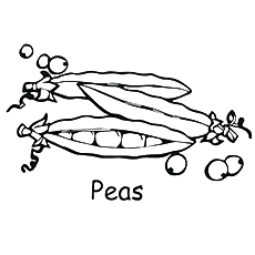 Peas coloring page