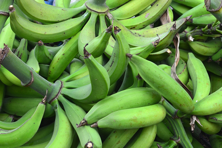 Plantains belong to the family of bananas