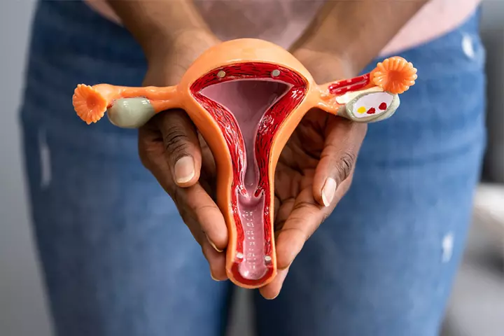 Power Lies In The Uterus