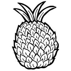 10 Best Pineapple Coloring Pages For Toddlers