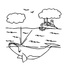 Right whale coloring page