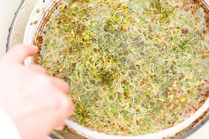 Rinse and clean the sprouts before cooking