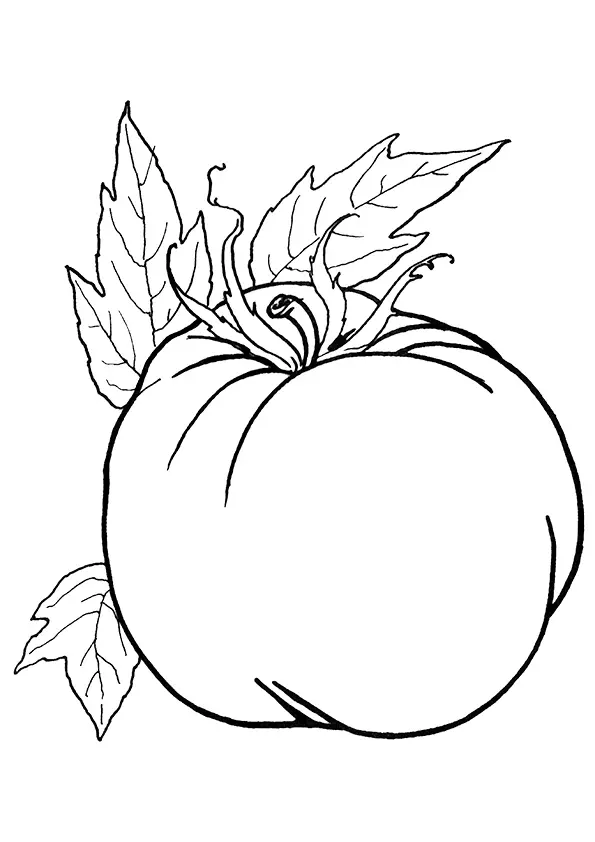 Ripened-Tomato