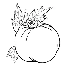 Ripened tomato coloring page