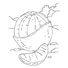 orange tree coloring pages