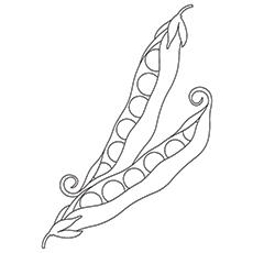 Snow peas coloring page