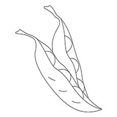 Sugar snap peas coloring page