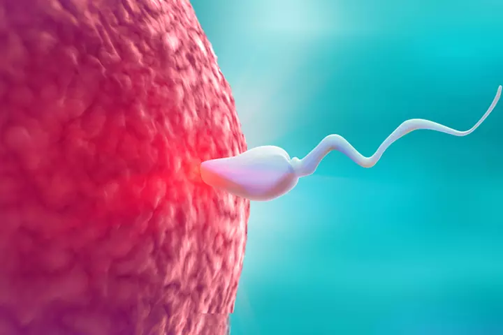 The hormone levels are not conducive to implantation even if sperms reach ovum