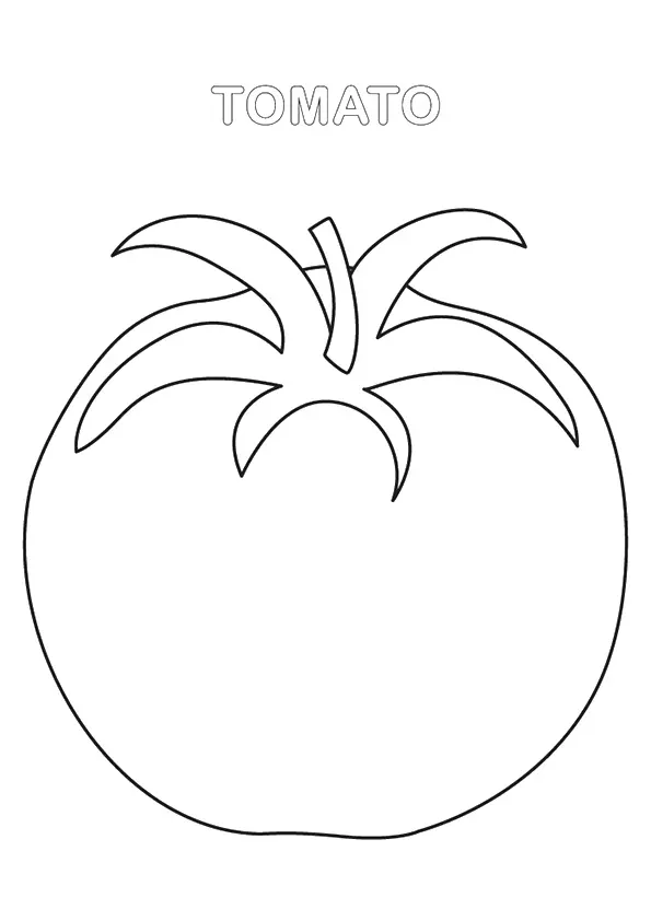 Tomato-Worksheet