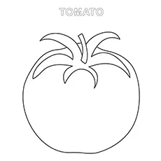 Tomato worksheet coloring page