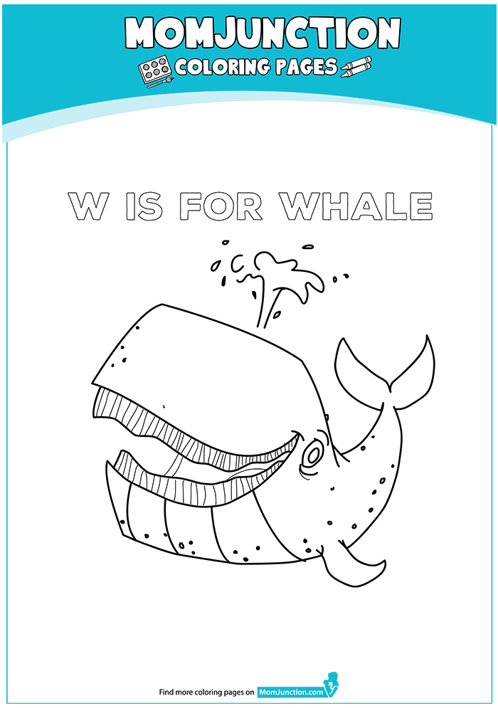 W-For-Whale-16
