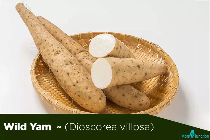 Wild yam dioscorea and fertility herbs for men