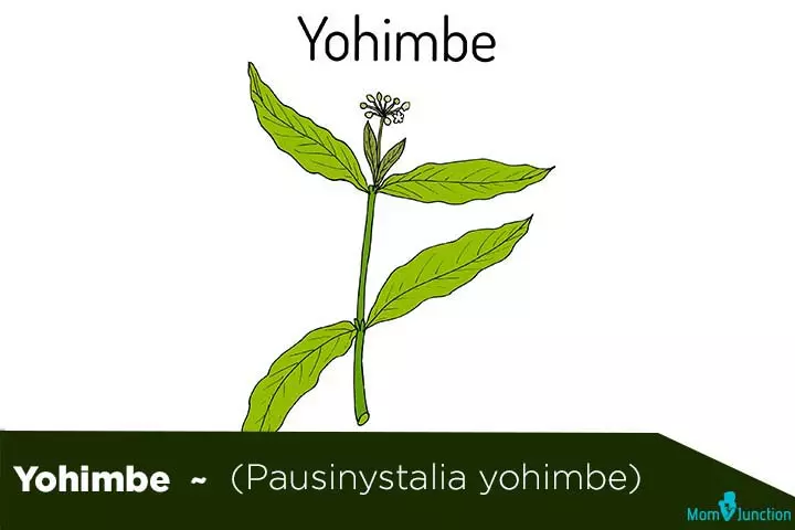 Yohimbe pausinystalia yohimbe fertility herbs for men