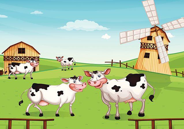 The cows and the tiger