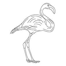 A simple flamingo coloring page