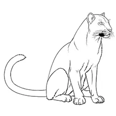 A simple panther coloring page
