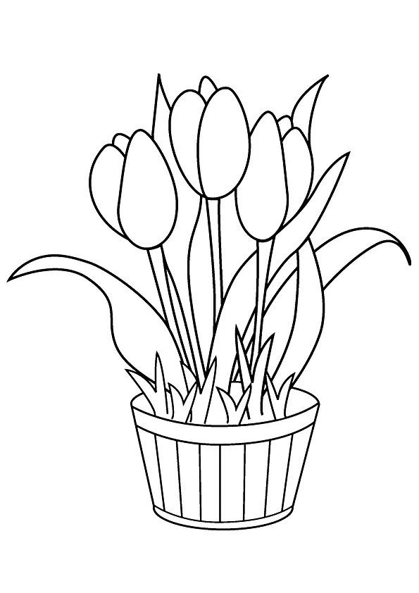 A-Vase-Full-Of-Tulips