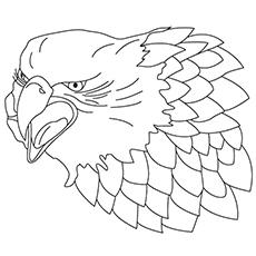 Aggressive falcon coloring page