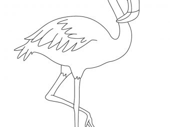 Top 10 Flamingo Coloring Pages For Toddlers