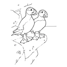 Atlantic puffins on a rocky cliff coloring page