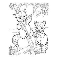 Baby raccoons climbing the tree, raccoon coloring page_image