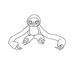Belt sloth coloring page