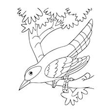 Black chinned hummingbird coloring page