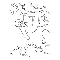 Cartoon sloth coloring page
