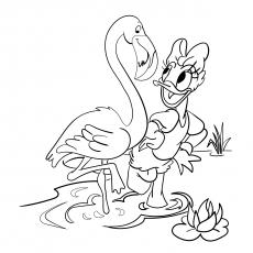 Daisy duck with flamingo, coloring page