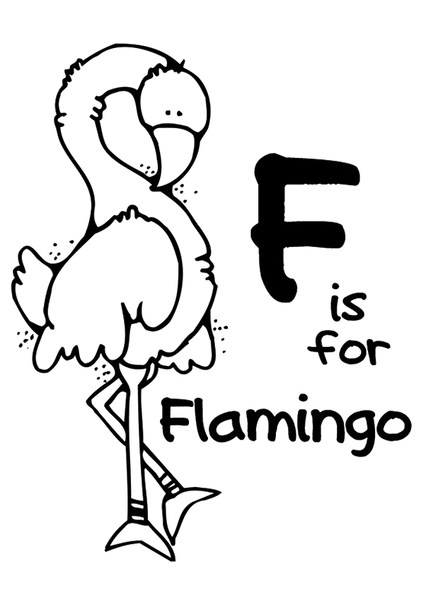 F-For-Flamingo