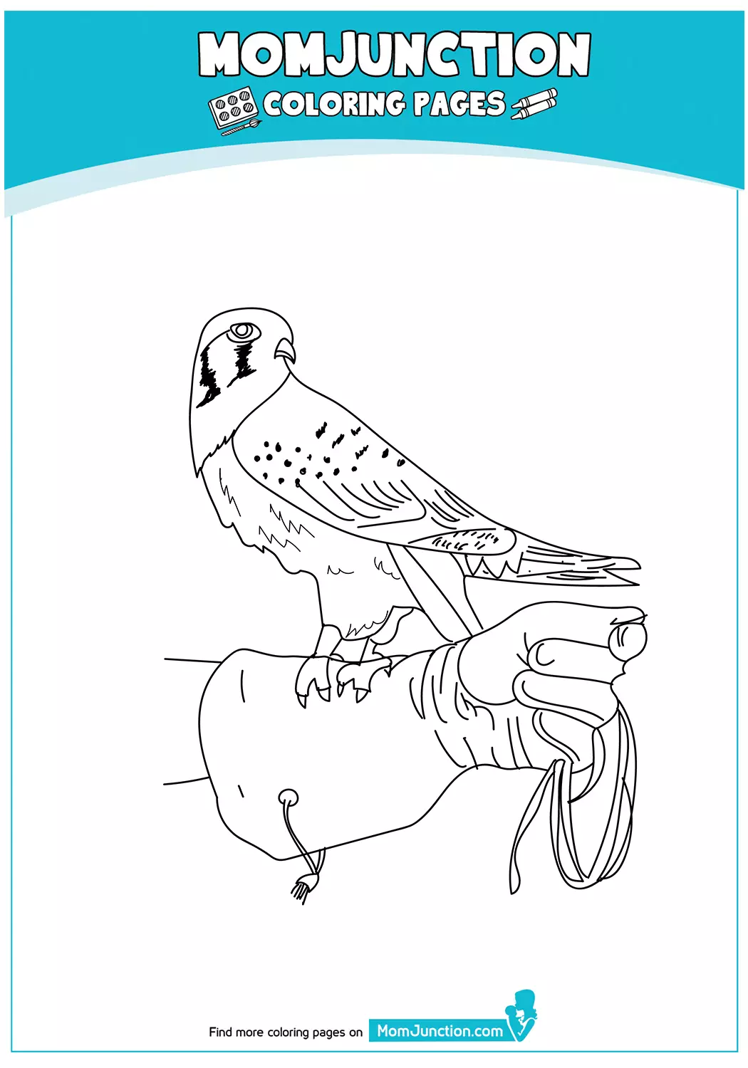 Falcon-Coloring-Pages-American-Kestrel-17